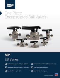 EB Series Ball Valve Catalog - EBPC Cover Image