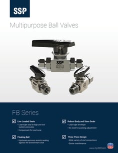 FB Series Ball Valve Catalog - FBPC Cover Image