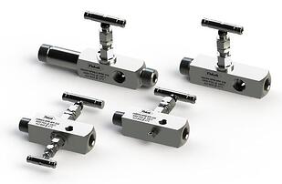 Needle Gauge Valve and Block & Bleed Valves | LN Series