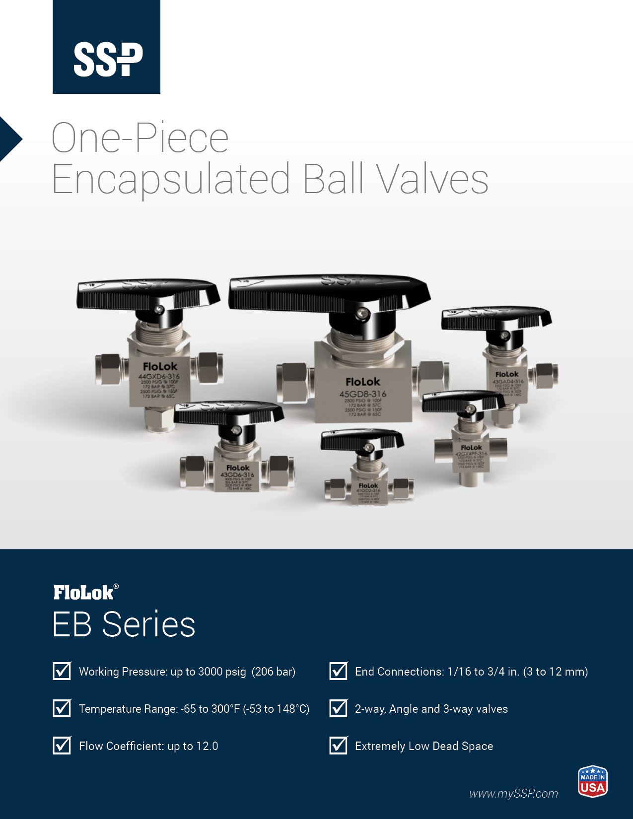 EB Series Ball Valve Catalog - EBPC Cover Image