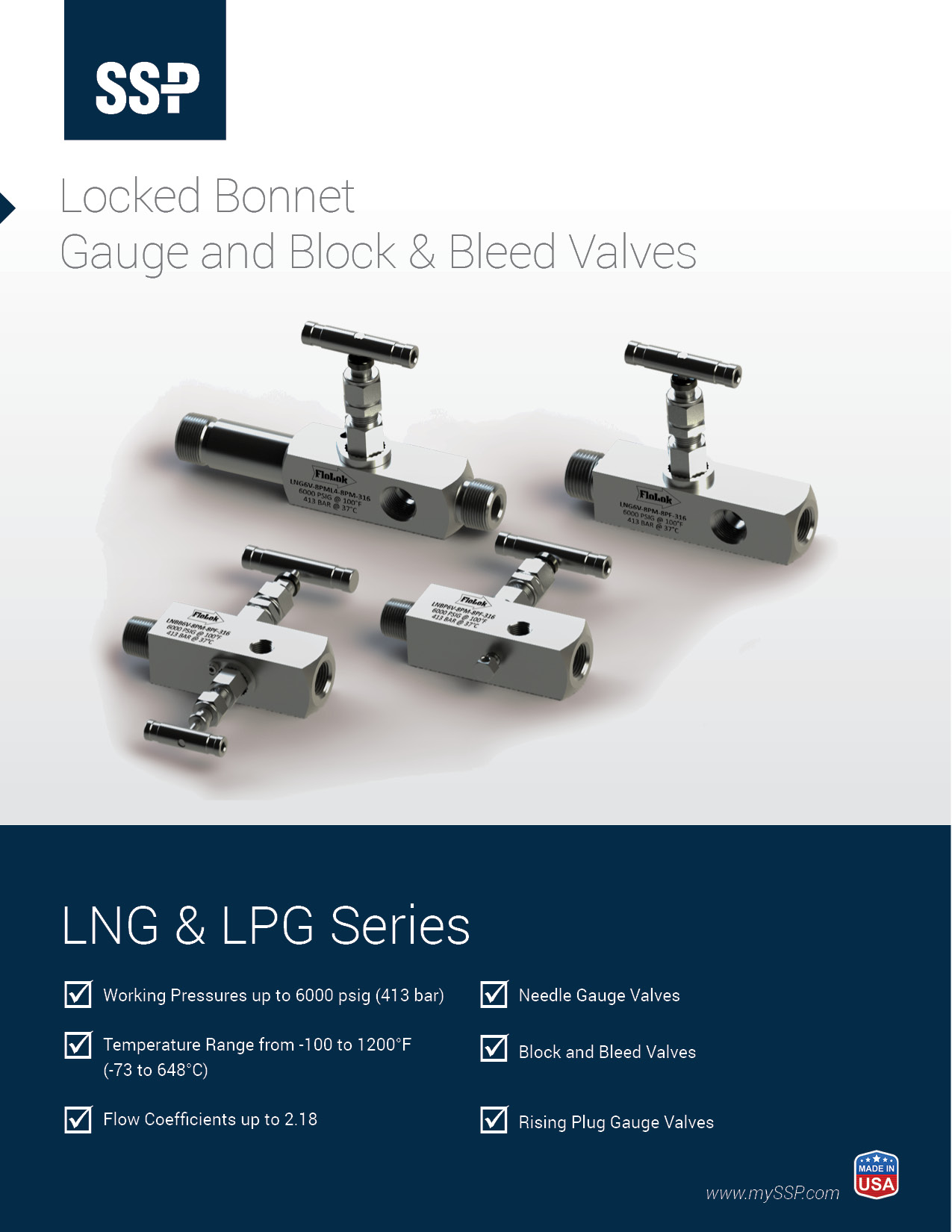 Gauge Valve Catalog - GVPC-20A Cover Image