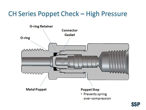 Check valve high pressure ch