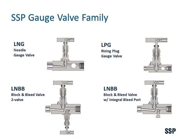 Locked Bonnet Gauge Valves Types